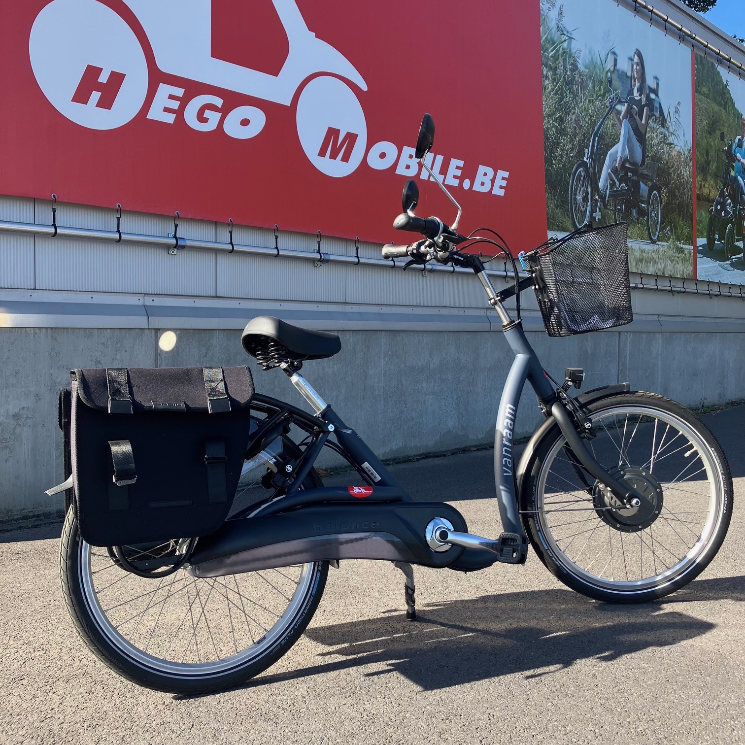 Van Raam "Balance" - Elektrisch (T)