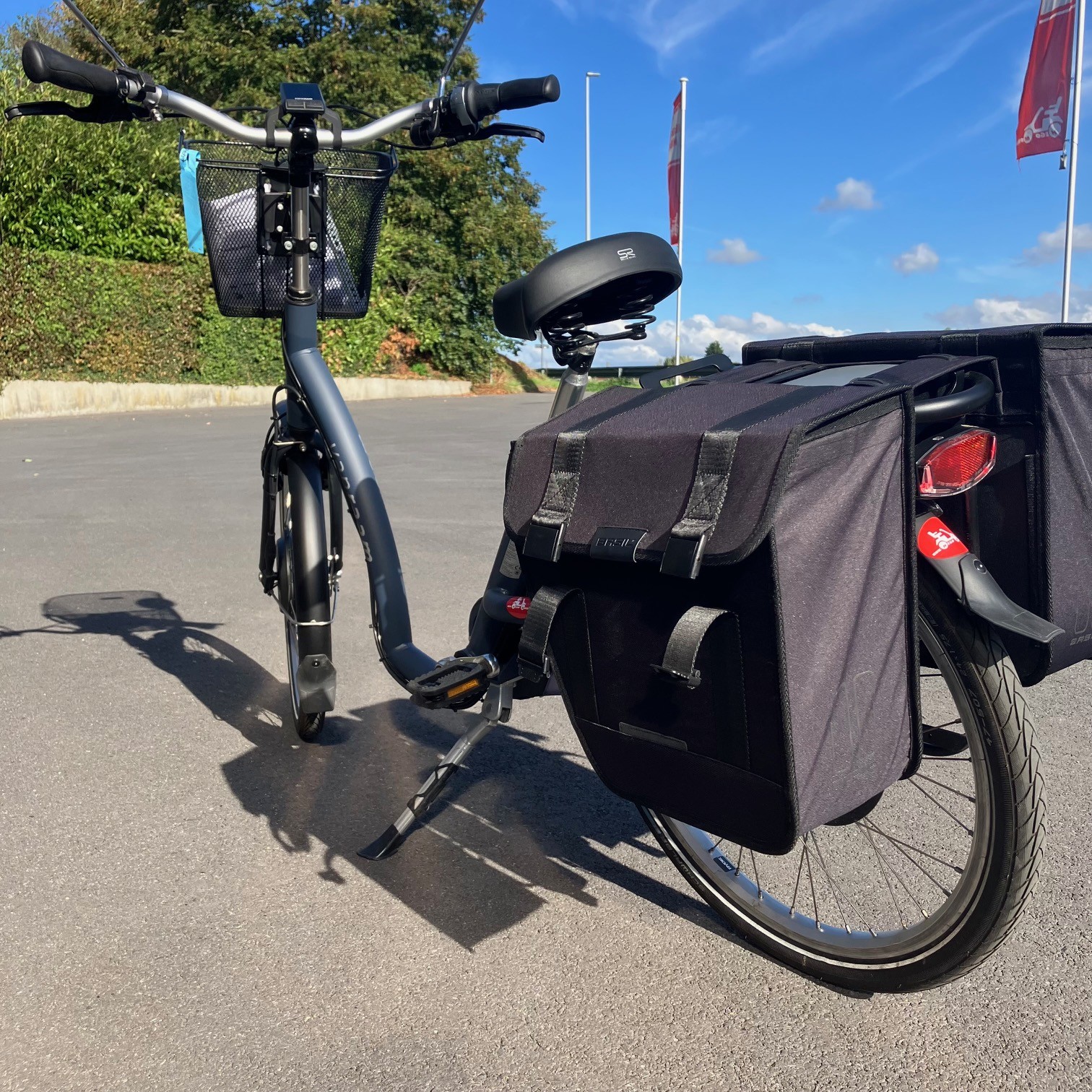Van Raam "Balance" - Elektrisch (T) - Afbeelding 4